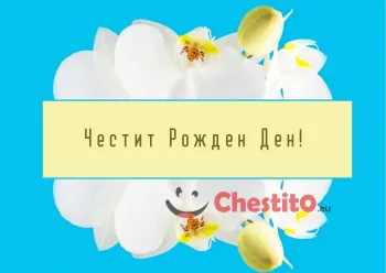 Картичка за рожден ден за момиче с бели цветя и син фон 