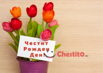 Картичка за рожден ден за момиче с лалета и картичка 