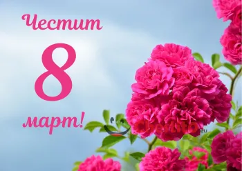 Картичка за 8-ми март  розови цветя на небесен фон 