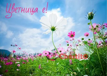 Картичка за Цветница  цветя на светъл фон 