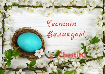 Картичка за Великден синьо яйце в гнездо на бял фон и цъфнали клонки