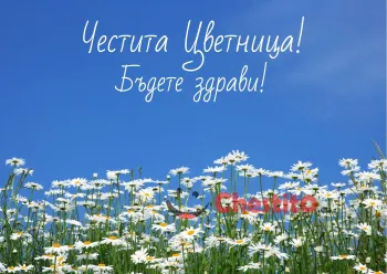 Картичка за Цветница  поляна с маргаритки 