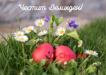Картичка за Великден две червени яйца на пролетна поляна 