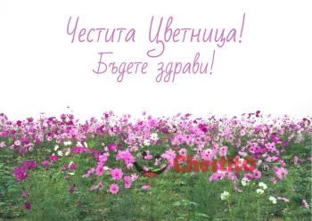 Картичка за Цветница  розови цветя на зелена поляна 