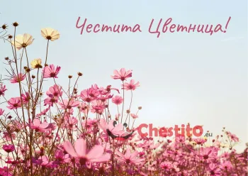Картичка за Цветница  розови цветя с небесен фон 
