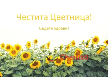 Картичка за Цветница слънчогледи на бял фон и послание 