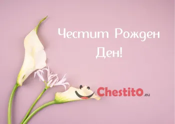Картичка за рожден ден на жена  момина сълза на розов фон 