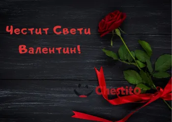 Картичка за Свети Валентин Червена роза с панделка на тъмен фон 