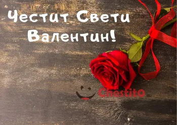 Картичка за Свети Валентин роза с панделка на тъмен фон 
