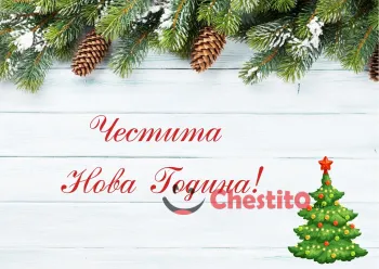 Картичка за Нова Година  борови шишарки , борови иглички и пожелание 