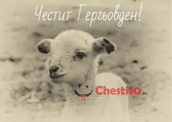 Картички за гергьовден черно-бяла снимка на агне 