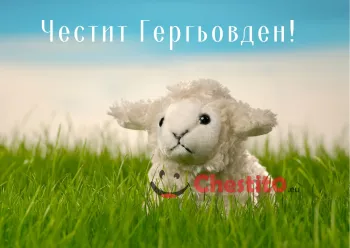 Картички за гергьовден тъжно пухкаво агънце на зелена поляна 