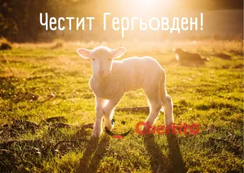 Картички за гергьовден агне на слънчева поляна 