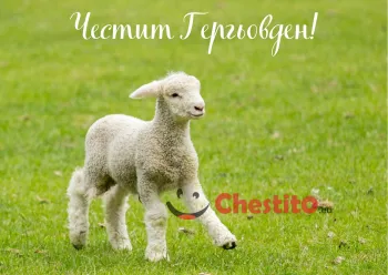 Картички за гергьовден агне на зелена поляна 