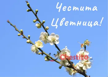 Картичка за Цветница  цъфнало клонче с бели цветчета 