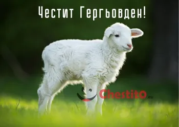 Картички за гергьовден бяло агне на зелена поляна