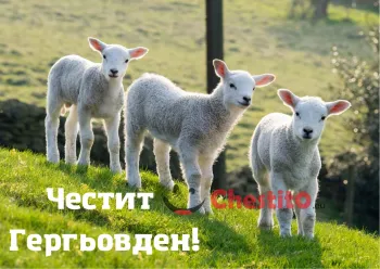 Картички за гергьовден три агнета на зелена поляна 
