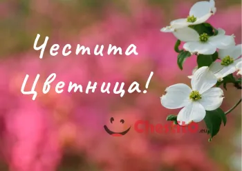 Картичка за Цветница  бели цветенца на замазан фон 