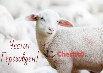Картички за гергьовден агне на бял фон 