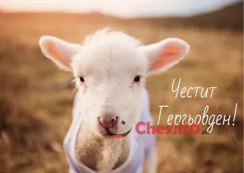 Картички за гергьовден лицето на сладко агънце 