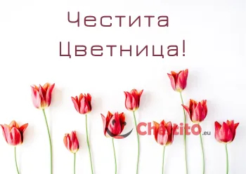 Картичка за Цветница  червени лалета на бял фон 
