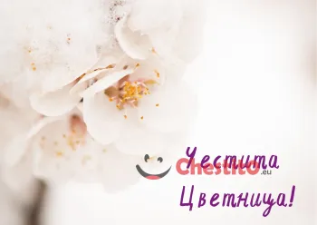 Картичка за Цветница бяло цвете на бял фон 