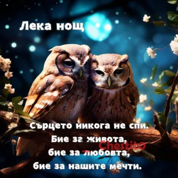 Картичка за лека нощ бухали на клон и текст 