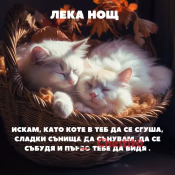 Картичка за лека нощ бели котета спящи в кошница и текст 