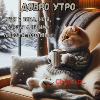Картичка за Добро утро Коте на канапе гледащо снега с кафе