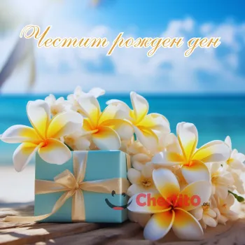 красиви цветя , подарък и плаж за фон 